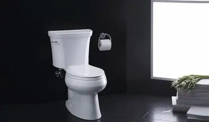 A white toilet with a closed lid is positioned against a dark wall, with a toilet paper roll holder mounted beside it and a window and flowers visible nearby.